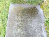 image of grave number 739913